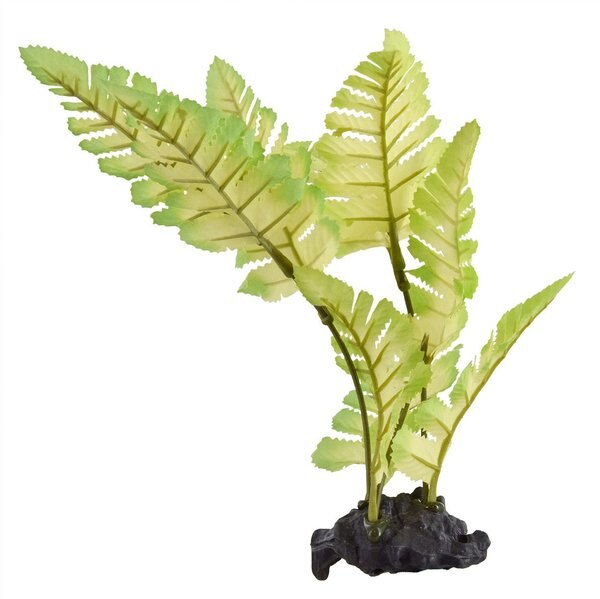 Underwater Treasures Painted Fern Fish Ornament