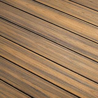 Trex Transcend 1 in. x 6 in. x 1 ft. Havana Gold Composite Deck Board Sample - Brown HGT90000