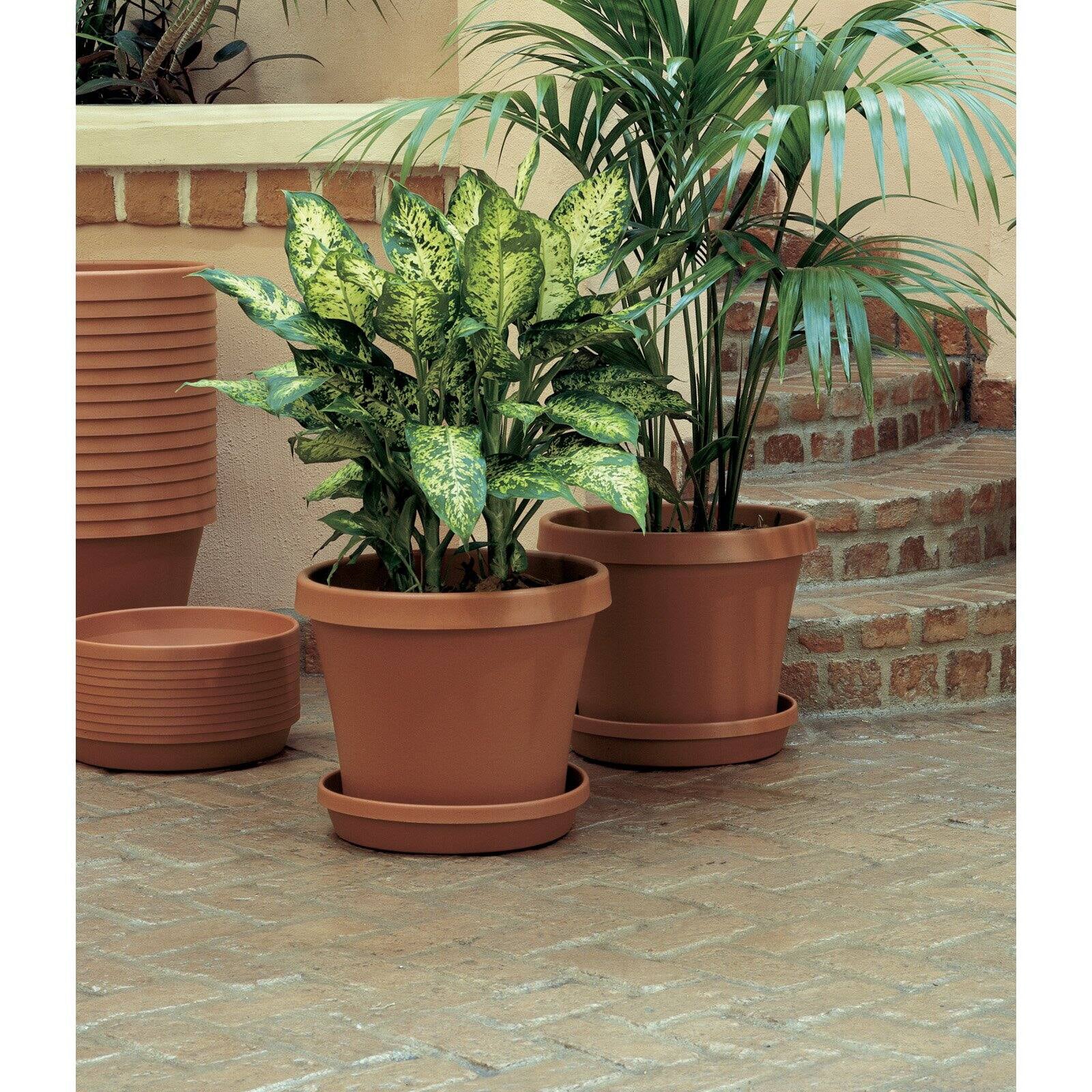 Bloem Terra Pot Planter 20" Taupe