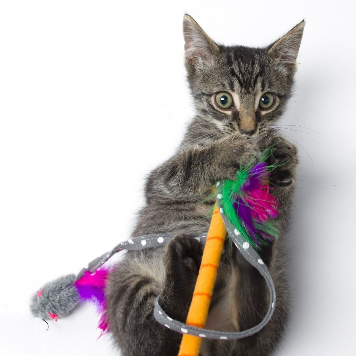 Hartz Just For Cats Twirl and Whirl Cat Wand Toy with Catnip， Color Varies