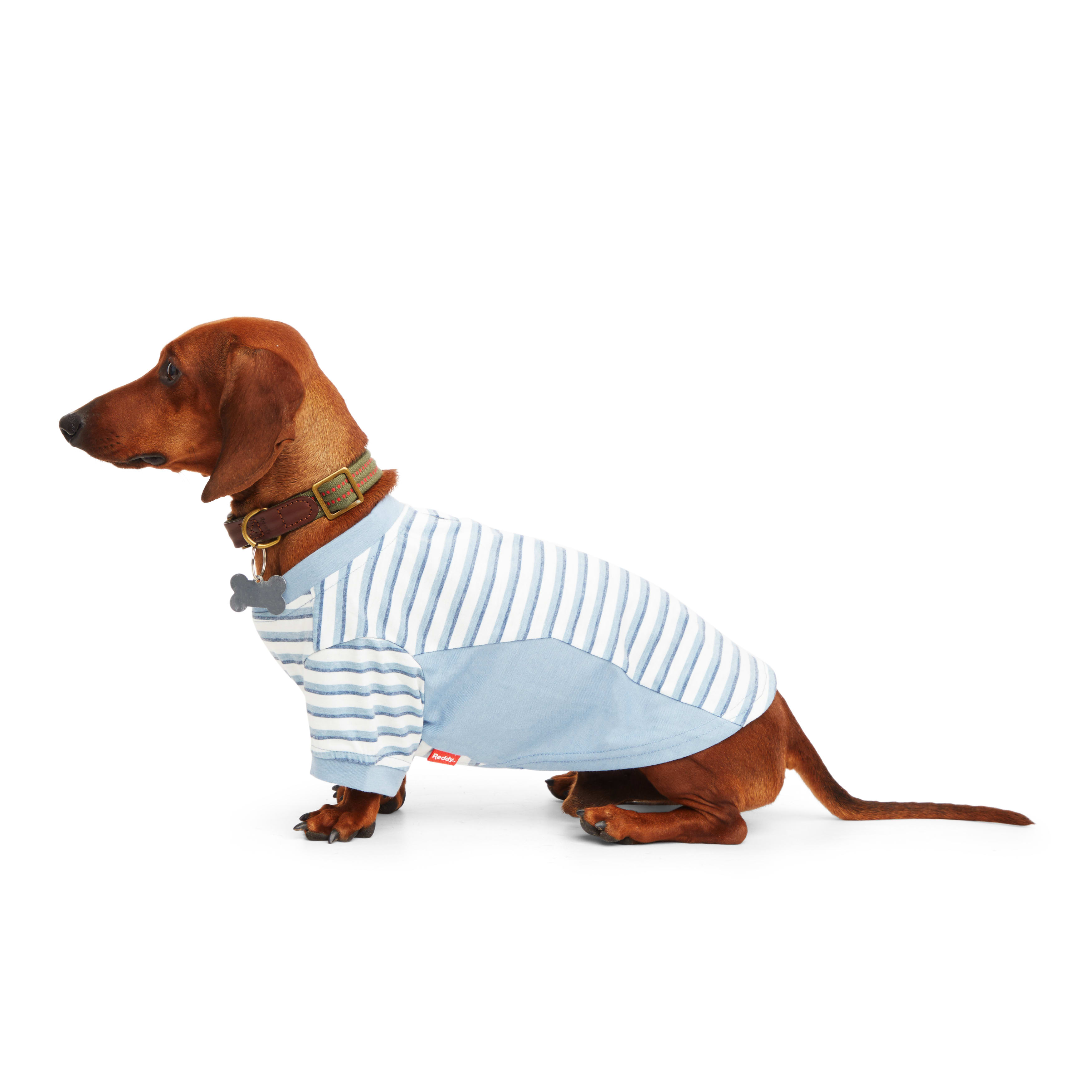 Reddy Blue Stripe Dog Tee， XX-Small