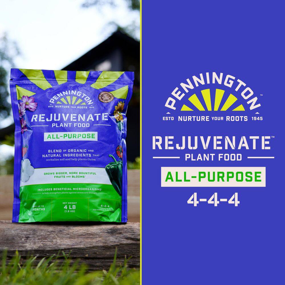 Pennington 4 lbs. Rejuvenate All Purpose Plant Food 4-4-4 100546846