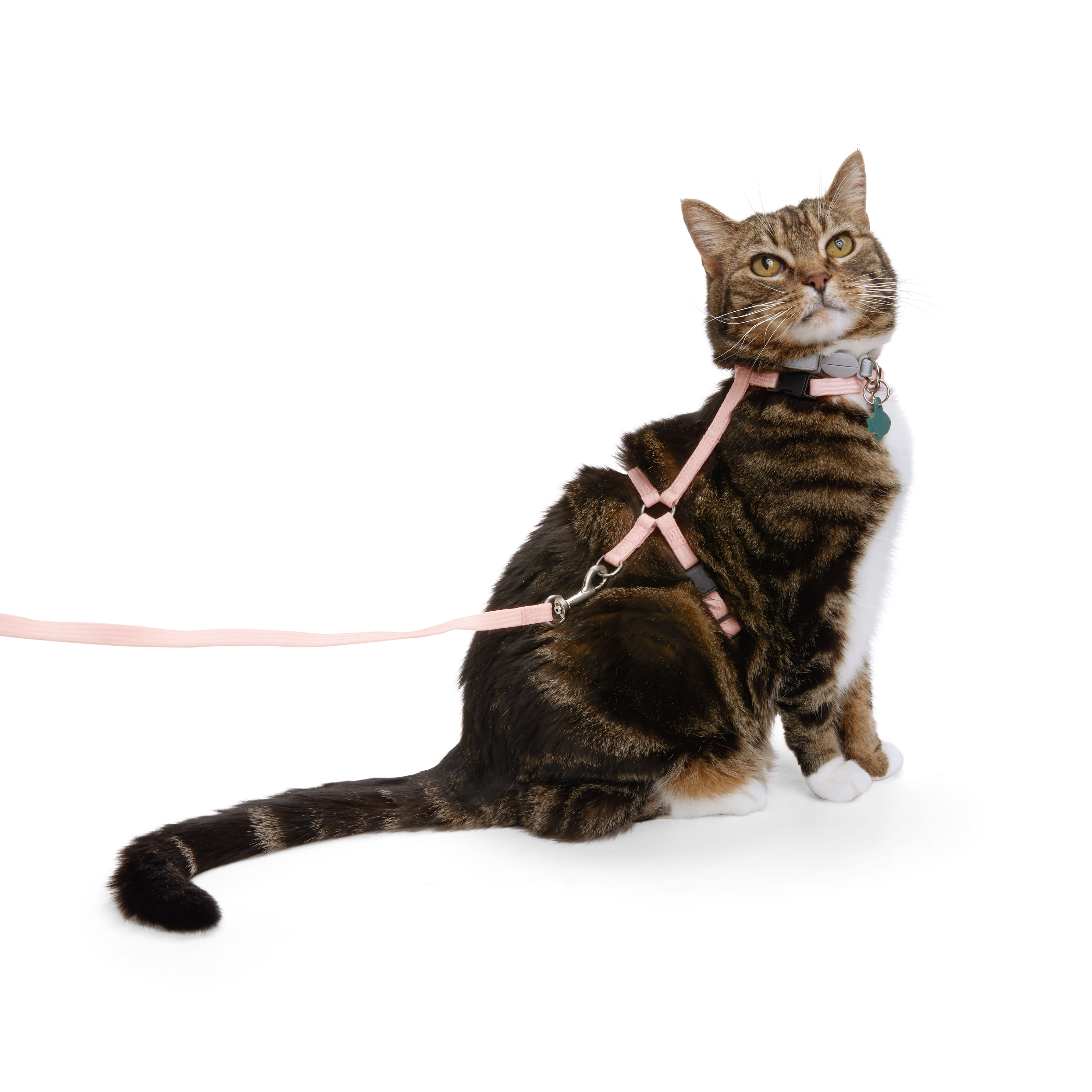 YOULY Pink Glow in the Dark Cat Harness  Lead