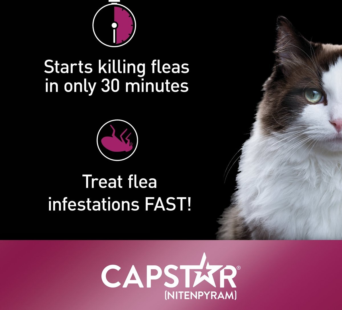 Capstar Flea Oral Treatment for Cats， 2-25 lbs