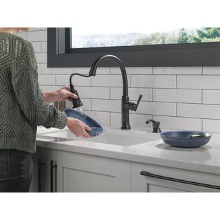 Delta Eldridge Single Handle Pull Down Sprayer Kitchen Faucet with ShieldSpray in Matte Black 19842Z-BLSD-DST