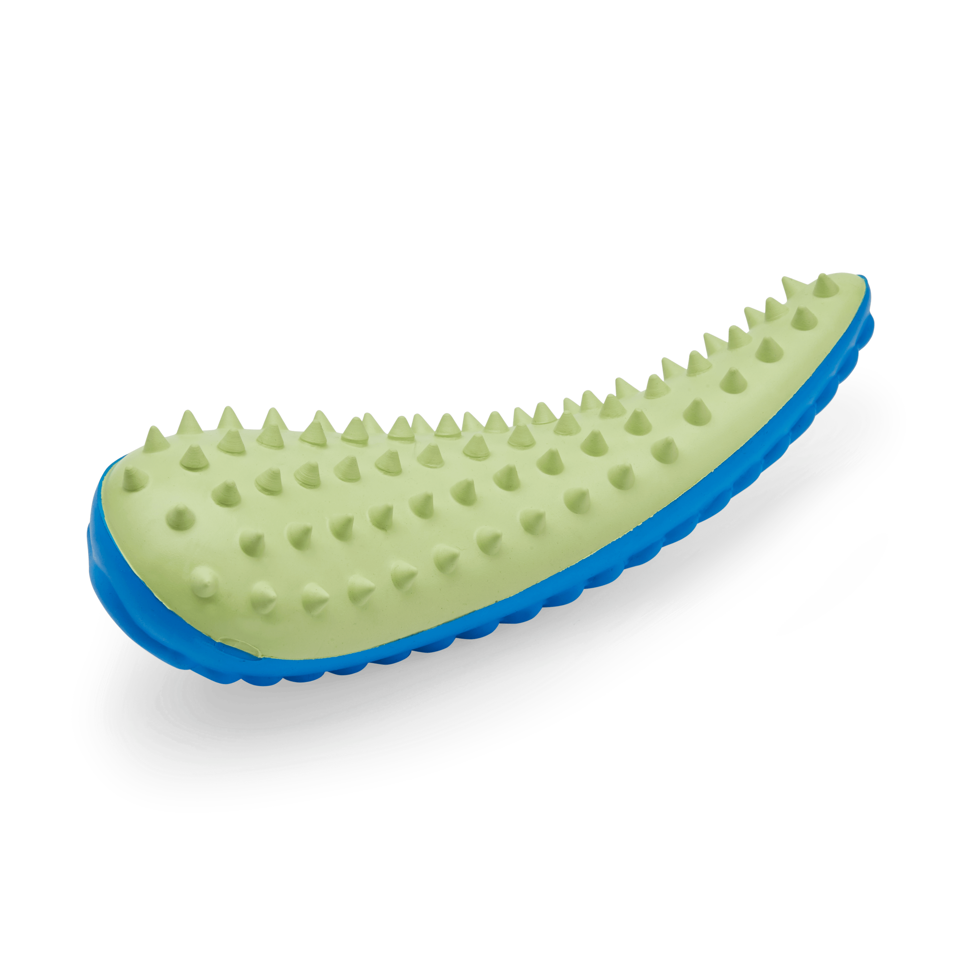 Leaps  Bounds Blue  Green Dental Chew Oval Dog Toy， X-Small