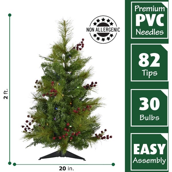 Fraser Hill Farm 2.0' Newberry Pine Tree