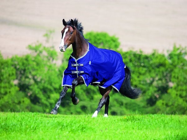 Shires Equestrian Products Highlander Plus TU Horse Blanket