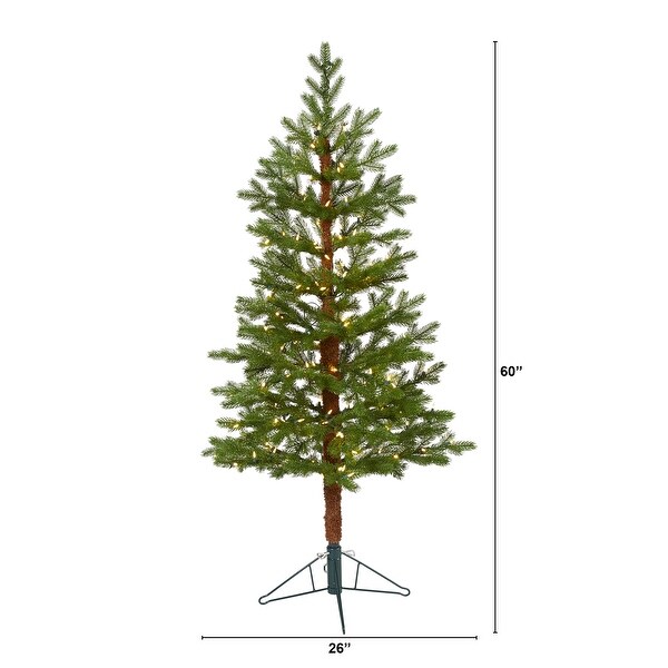 5' Fairbanks Fir Artificial Christmas Tree with 150 Clear Warm (Multifunction) LED Lights and 118 Bendable Branches