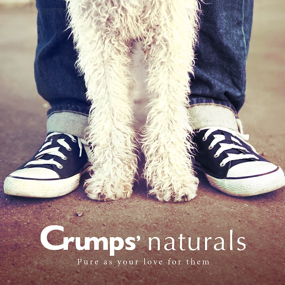 Crumps' Naturals Plaque Busters Bacon Flavor Dental Dog Treats