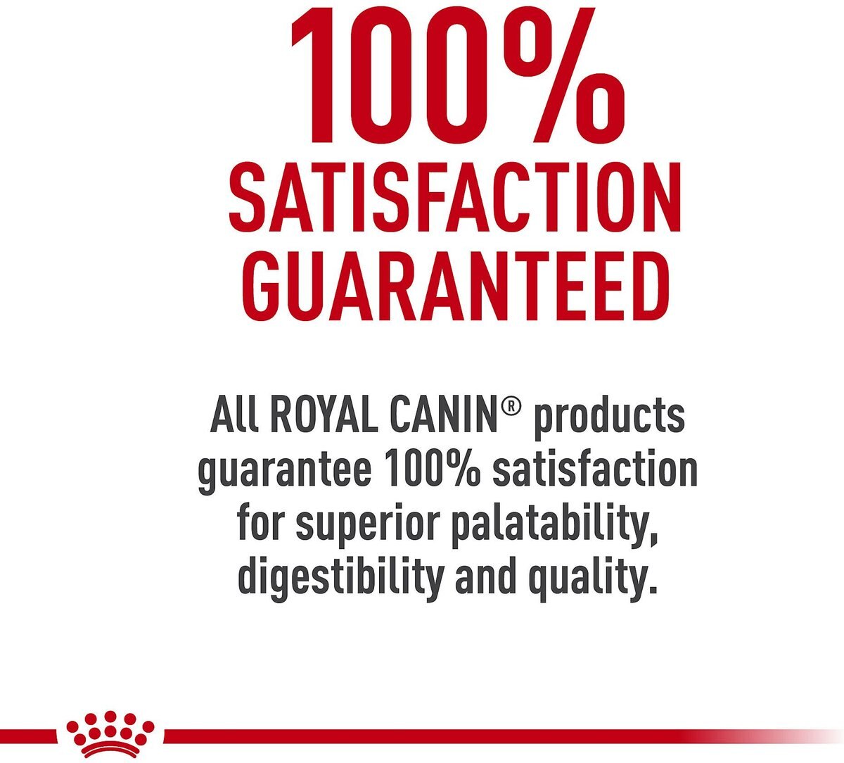 Royal Canin Breed Health Nutrition French Bulldog Adult Dry Dog Food