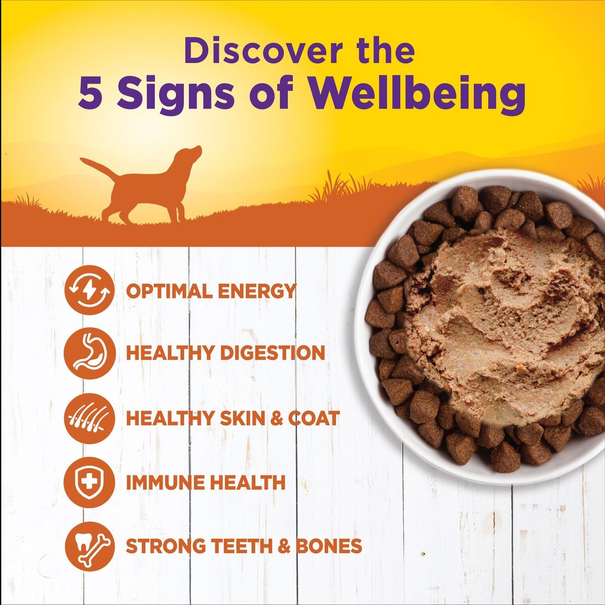 Wellness Complete Health Turkey and Sweet Potato Formula Canned Dog Food