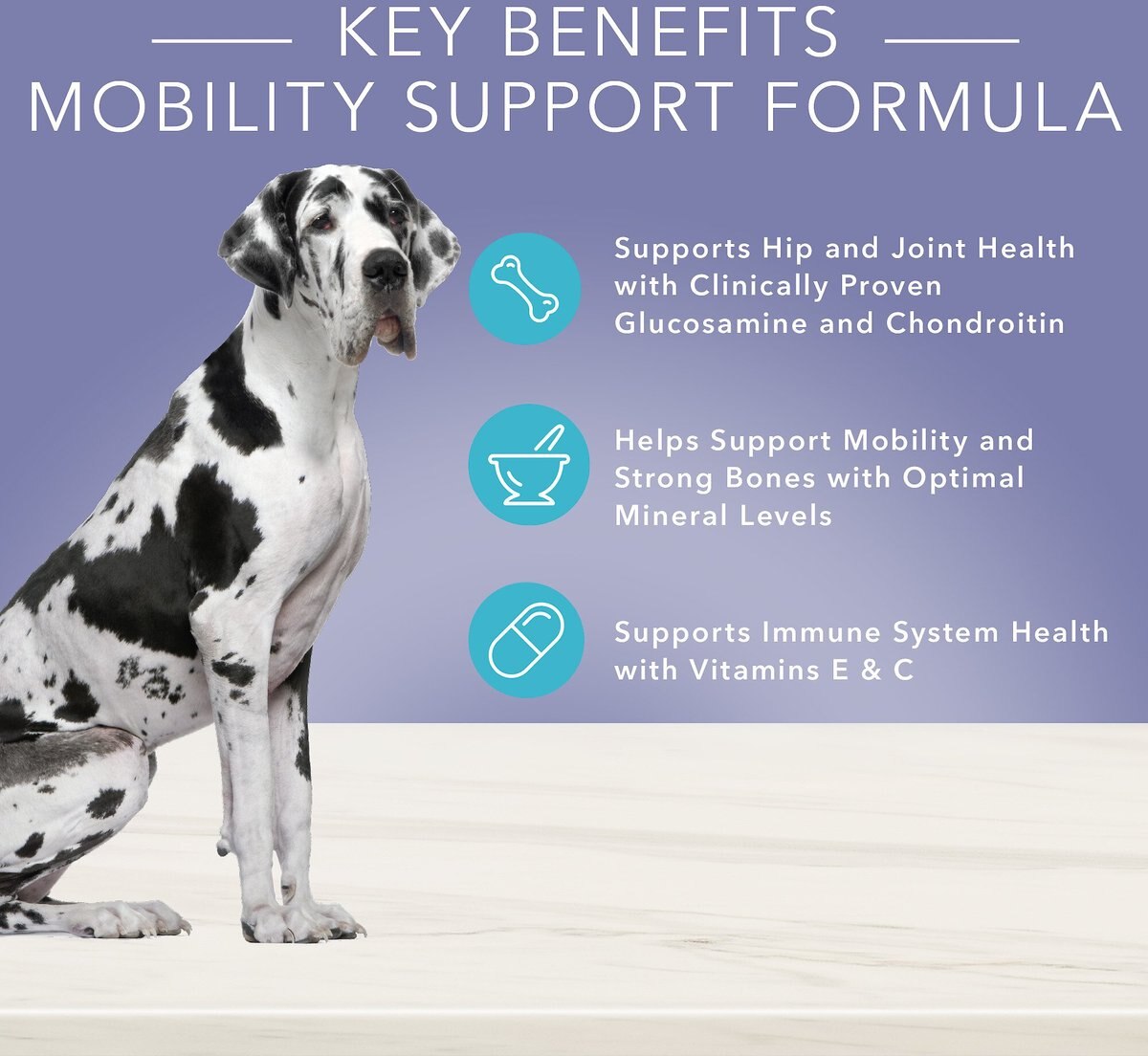 Blue Buffalo True Solutions Jolly Joints Mobility Support Formula Dry Dog Food