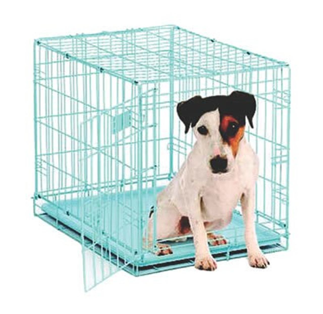 Midwest Blue iCrate Single Door Folding Dog Crate 1524BL 24 X 18 X 19