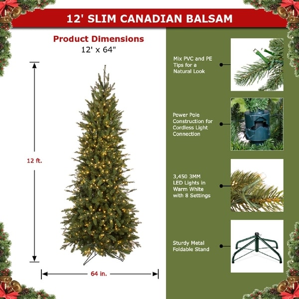 Forever Tree 12' Slim Canadian Balsam Fir Power Pole