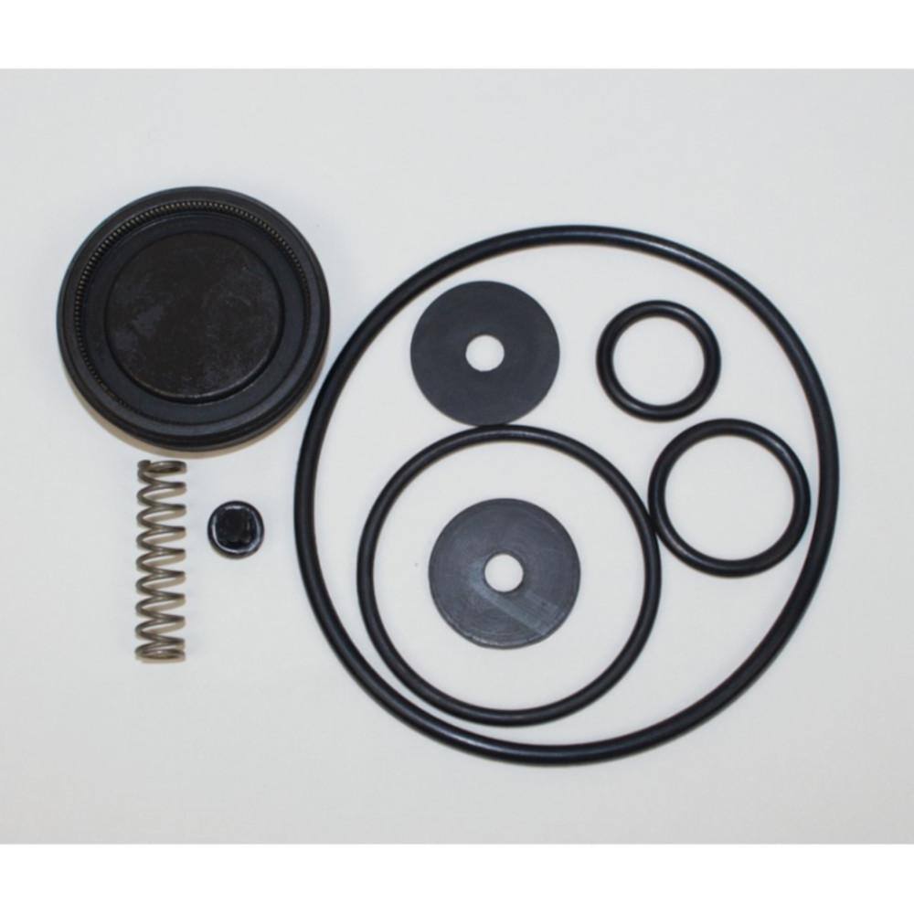 SOLO Repair Kit Piston Pump for 425 435 473-P 06 10 407-K