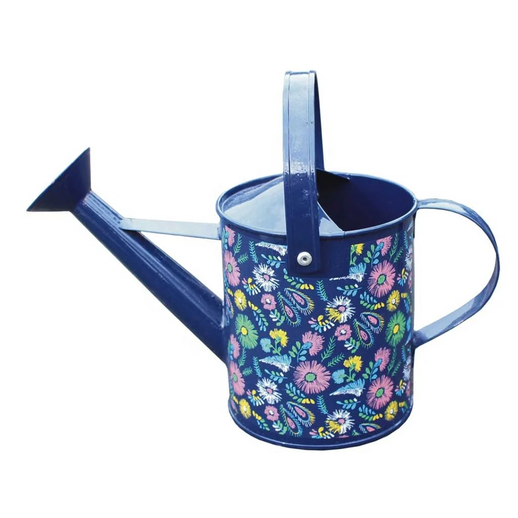 Wholesale High Quality Custom Color Long Mouth Metal Watering Can Garden Water Can