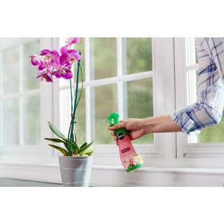 Miracle-Gro Ready-To-Use Orchid Plant Food Mist (2-Pack) VB300522