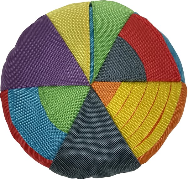 fouFIT Hide 'n Seek Disc Dog Toys， Multicolor