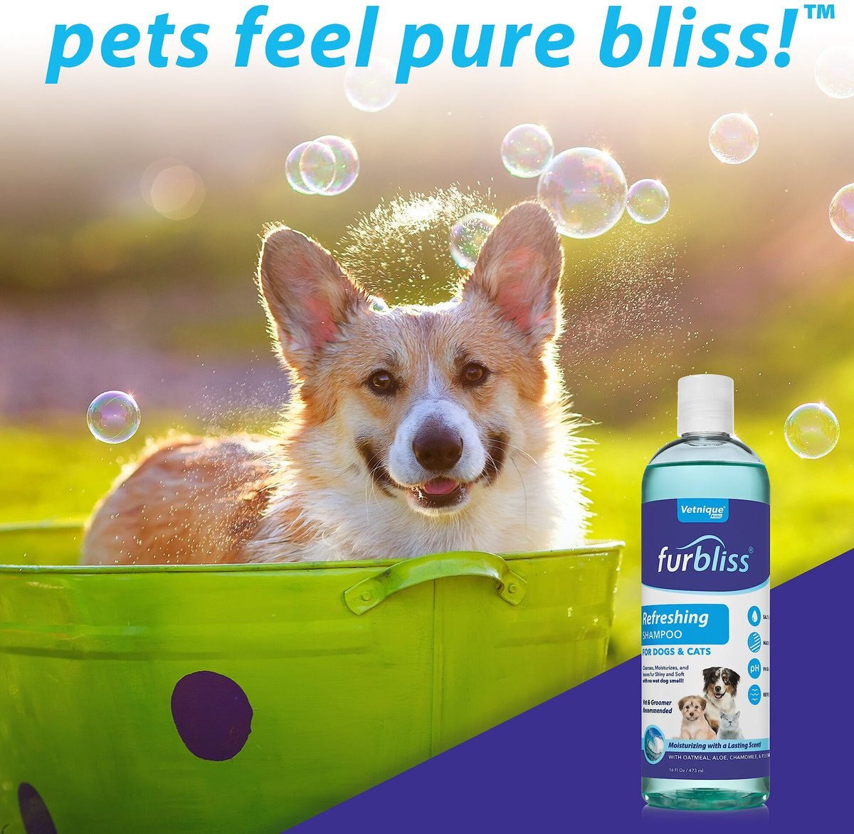 Vetnique Labs Furbliss Refreshing Shampoo with Essential Oils， Oatmeal Dog and Cat Grooming Shampoo