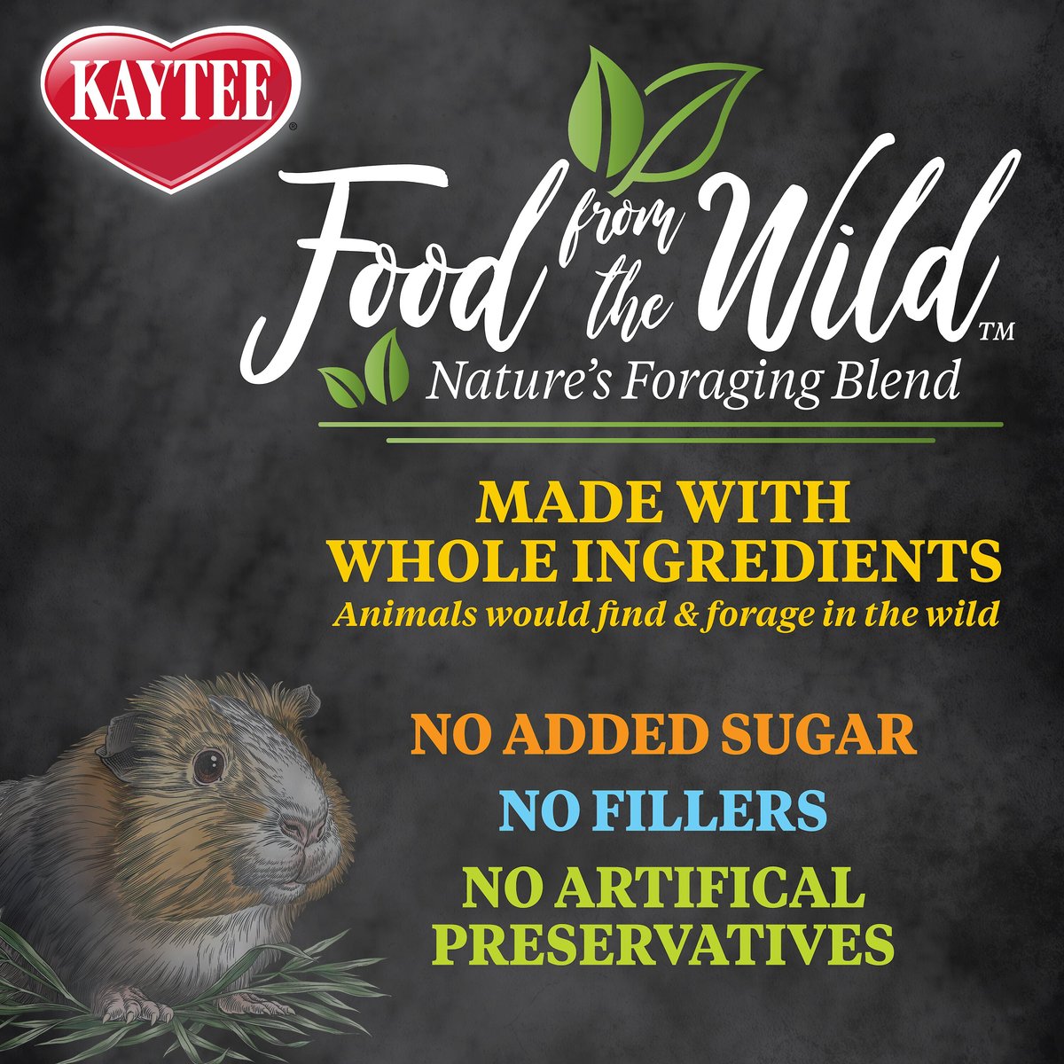 Kaytee Food From the Wild Guinea Pig Food， 4-lb bag