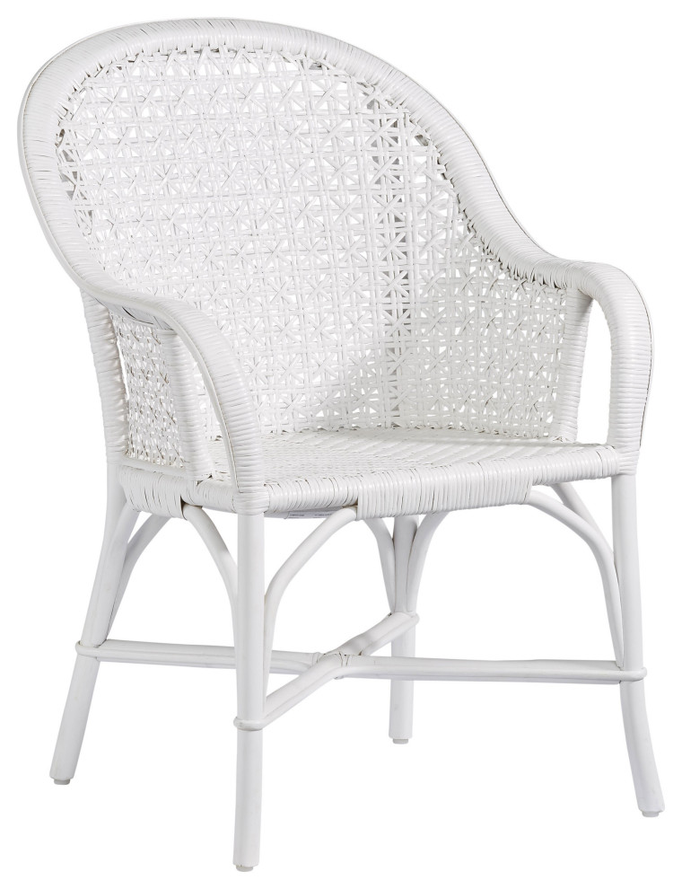 Louie Accent Arm Chair in White   Tropical   Dining Chairs   by Progressive Furniture  Houzz