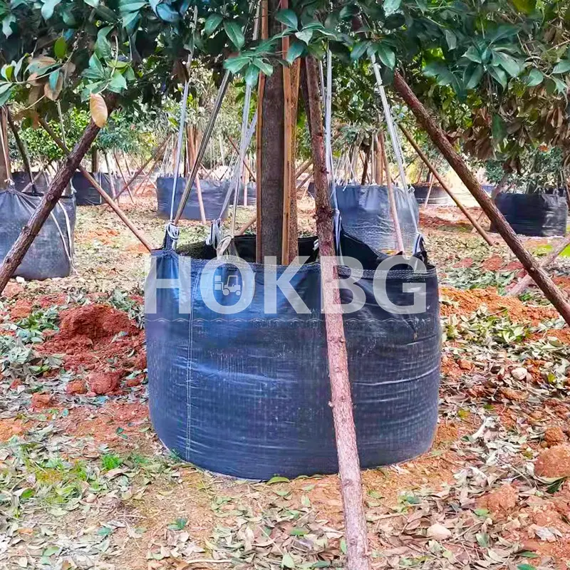 HOKBG Wholesale Eco Friendly Polypropylene Woven planting bag for big and tall trees planting in nursery