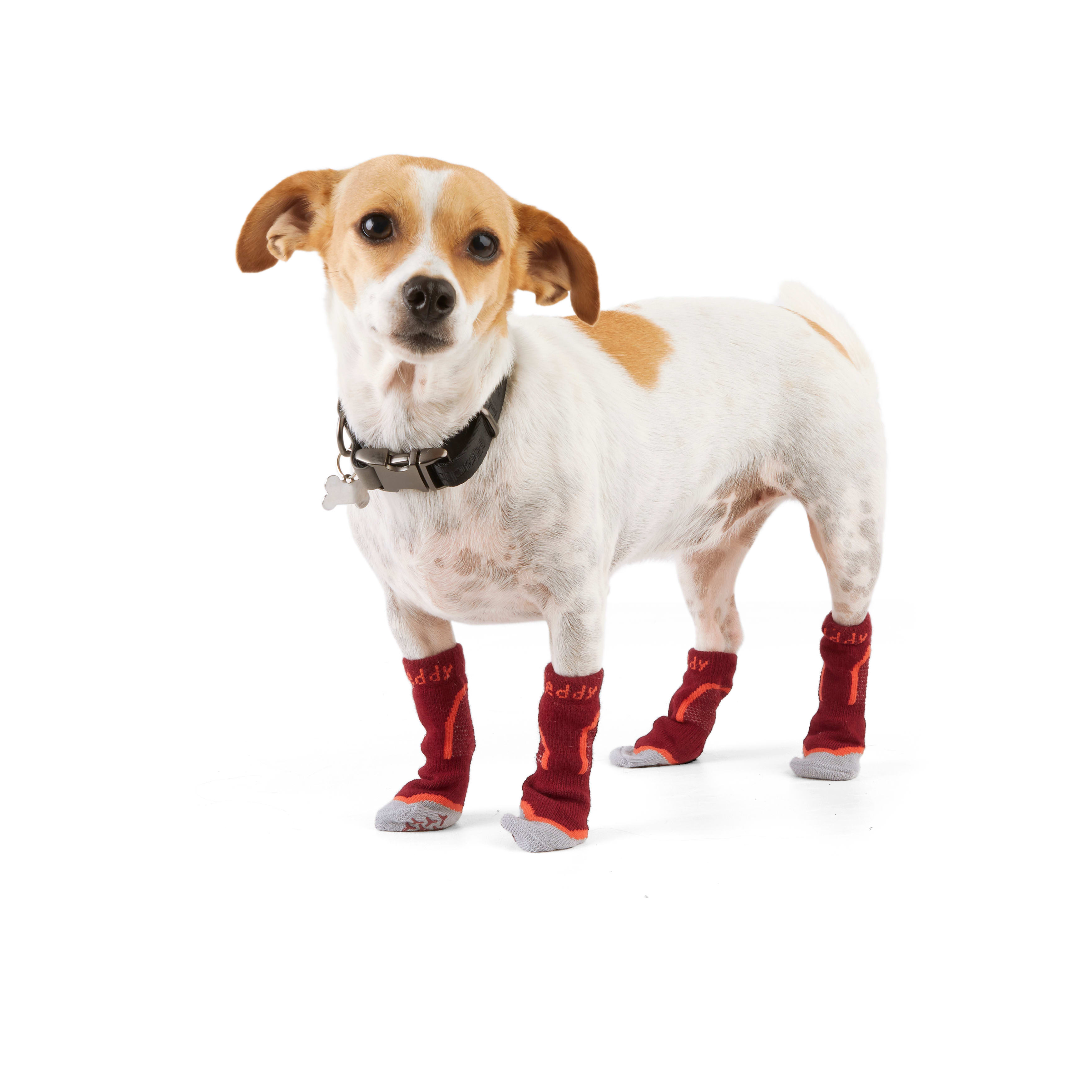 REDDY Burgundy Seamless Boot Sock for Dogs， X-Small/Small