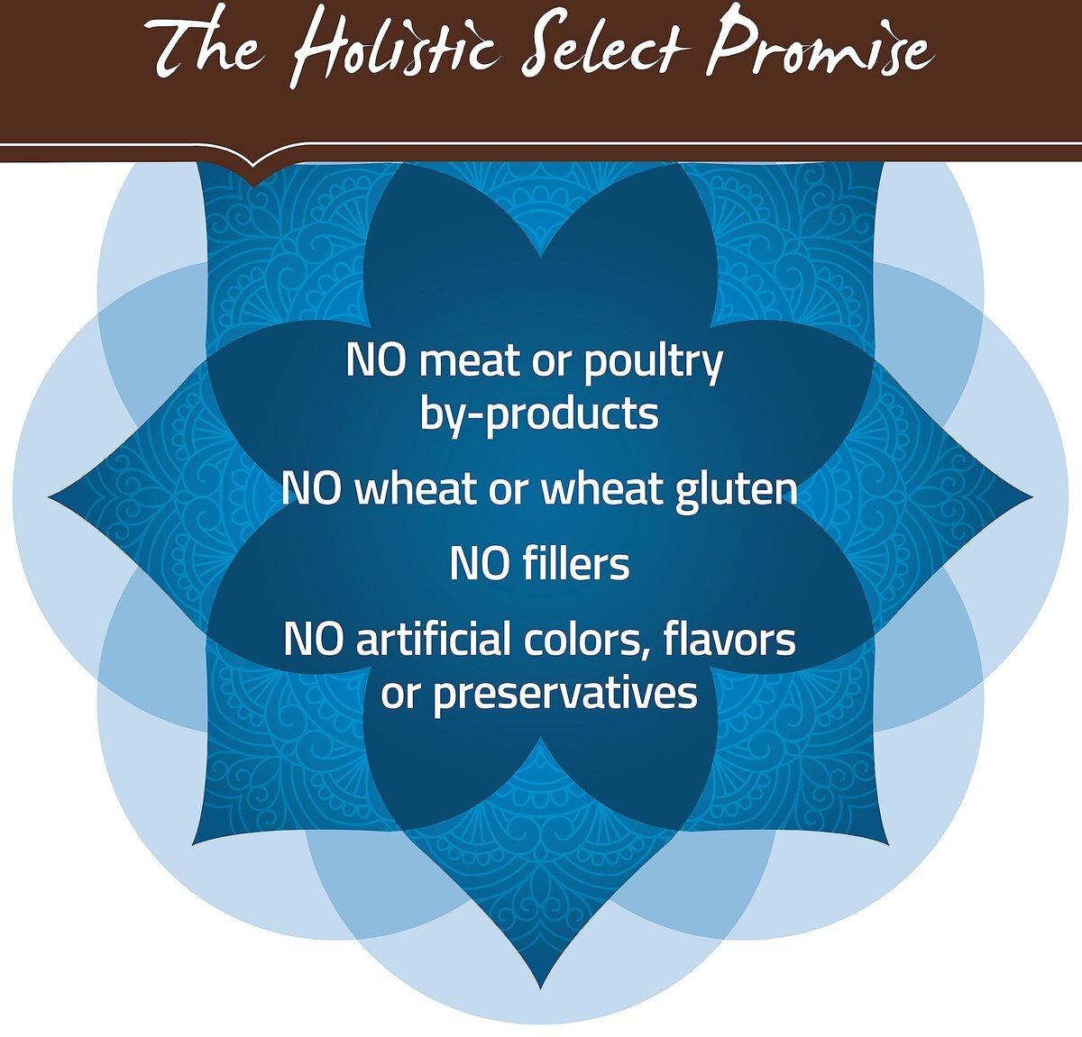 Holistic Select Large and Giant Breed Chicken Meal and Lentils Natural Grain-Free Dry Dog Food