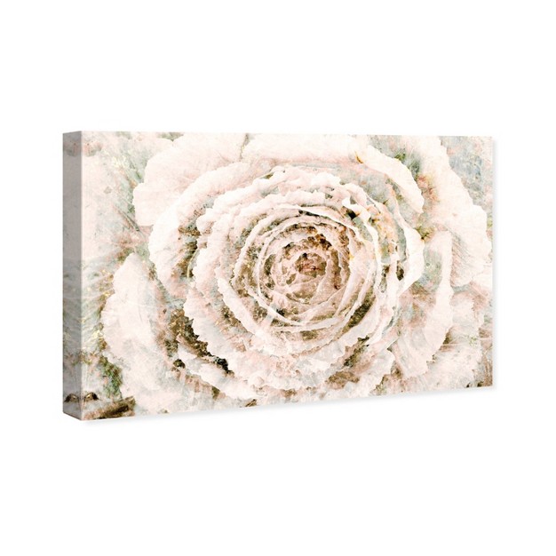 X 15 quot Brown Winter Flower Floral And Botanical Unframed Canvas Wall Art In White Oliver Gal