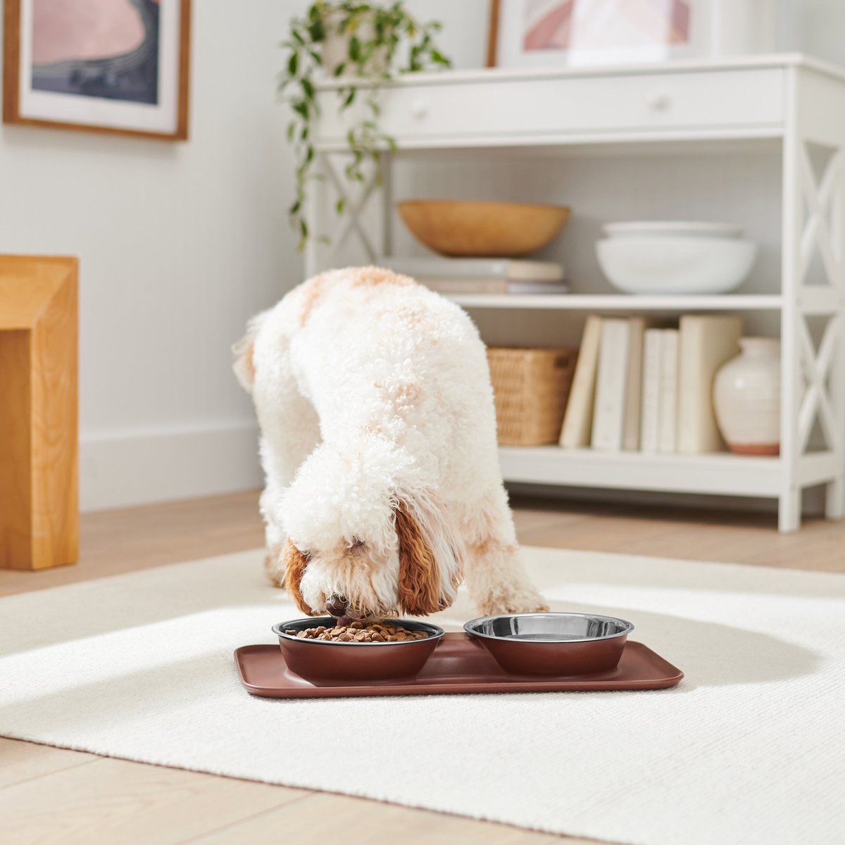 Frisco Silicone Stainless Steel Double Diner Dog and Cat Bowl， Brown