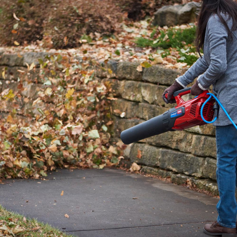 TORO LEAF BLOWER F700