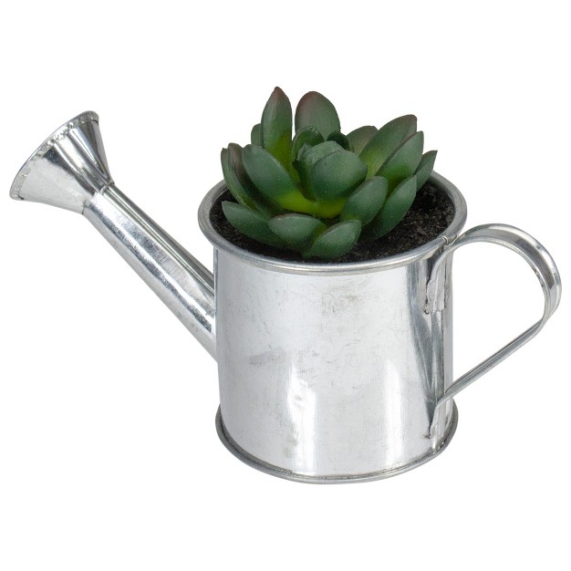 Tropical Rose Succulent In Water Can Artificial Potted Plant Green silver