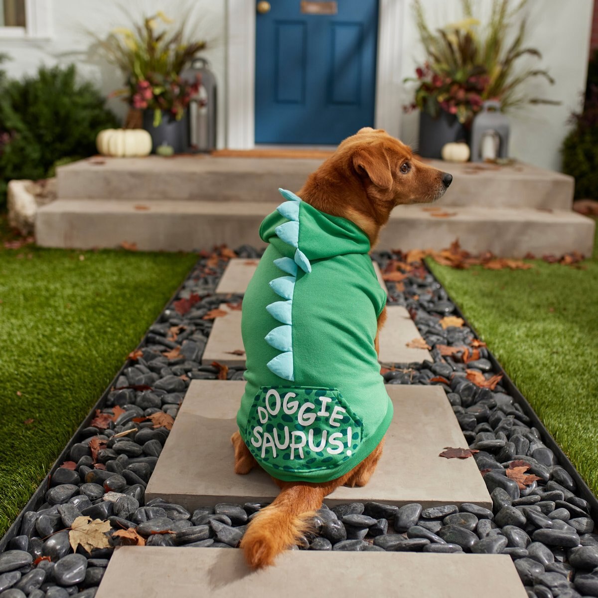 Frisco Doggiesaurus Dog and Cat Hoodie， Green