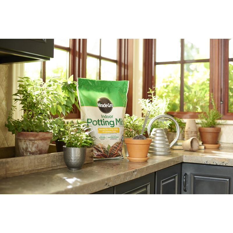 MG INDOOR POTTING MIX6QT