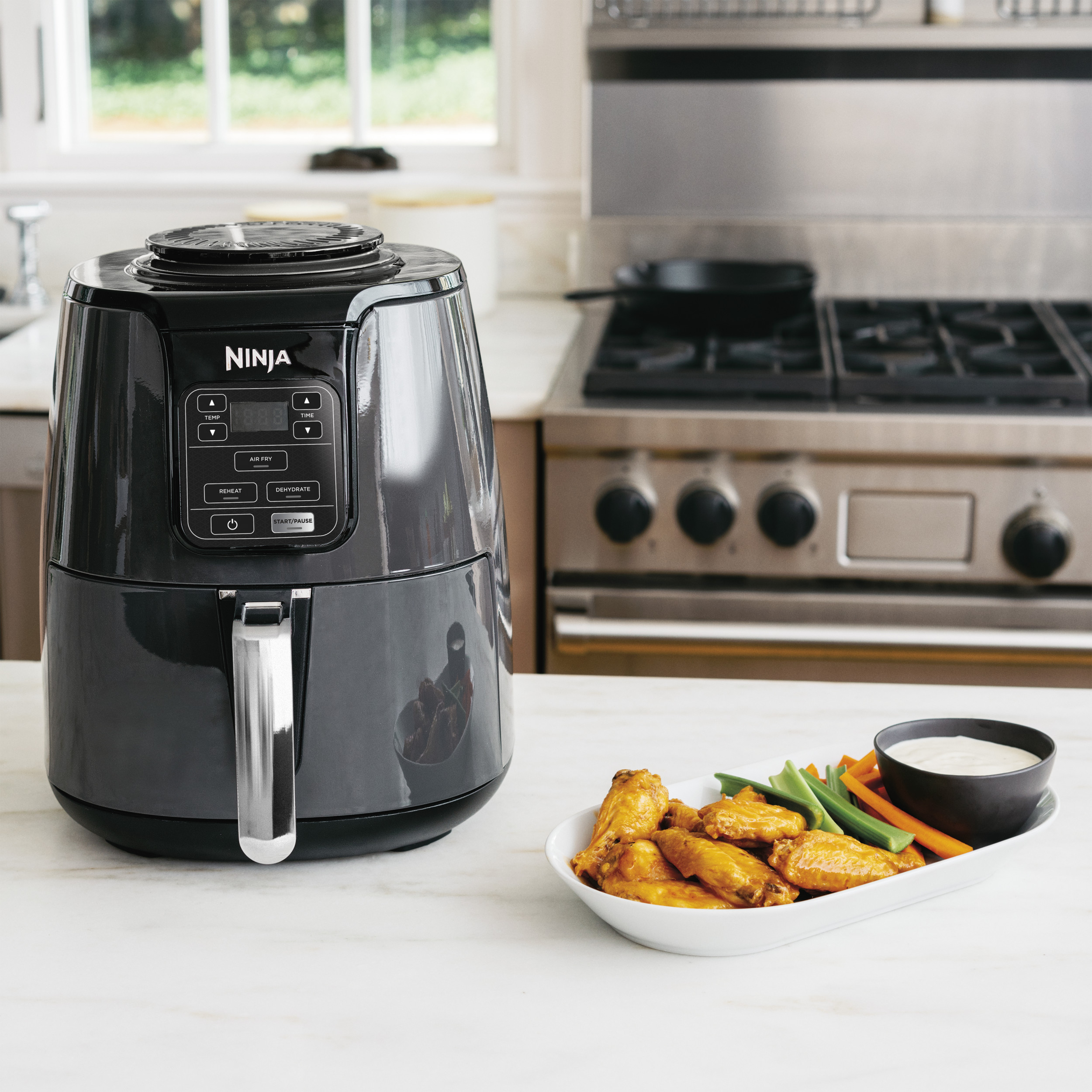 Ninja AF100 4 Quart Air Fryer