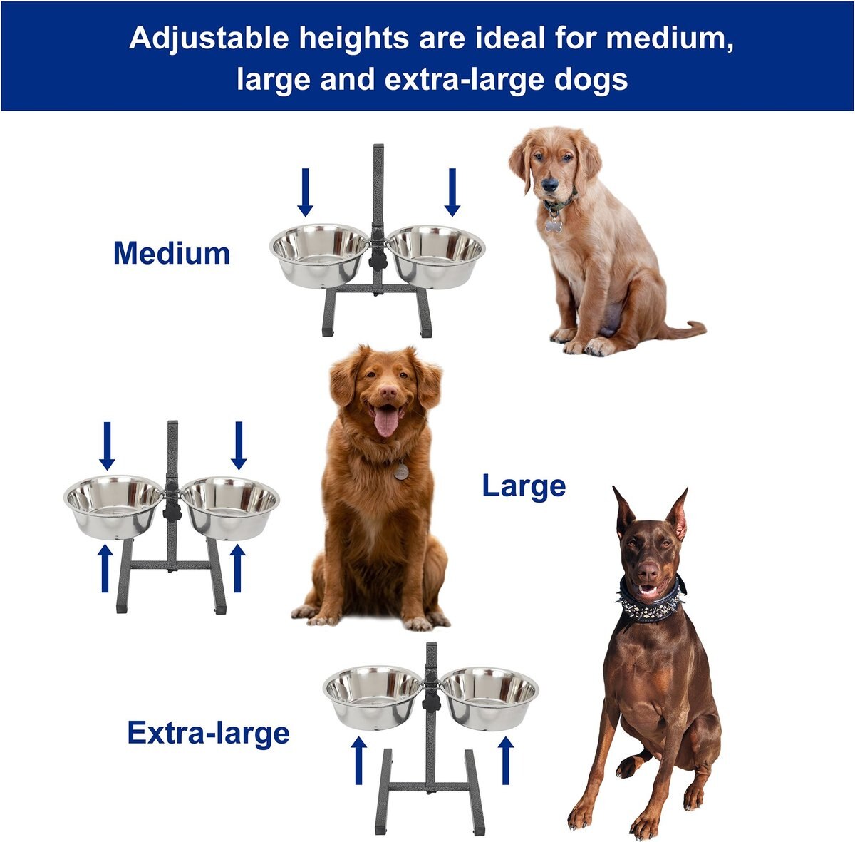 Iconic Pet Adjustable Stainless Steel Elevated Dog Bowl， H Design