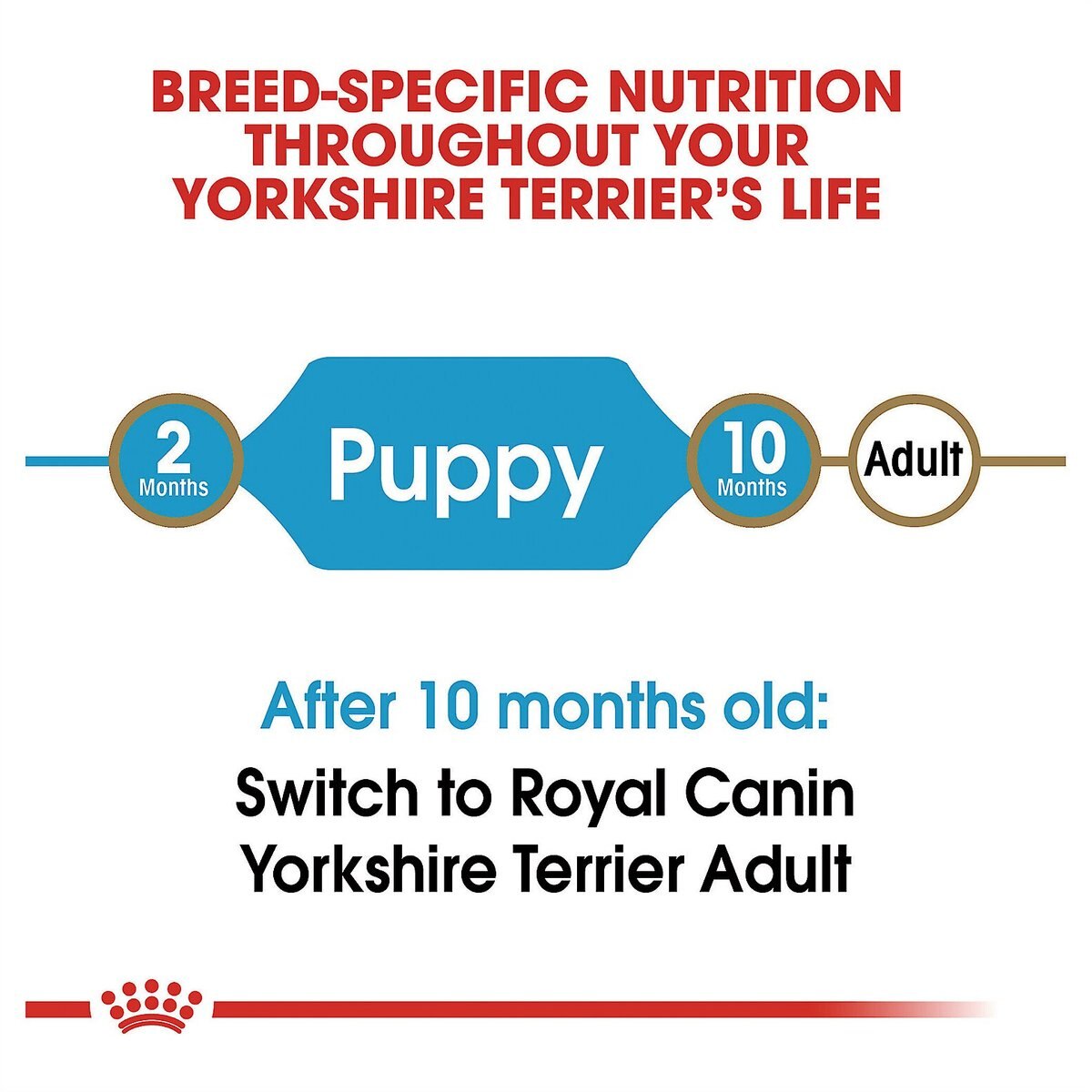 Royal Canin Breed Health Nutrition Yorkshire Terrier Puppy Dry Dog Food