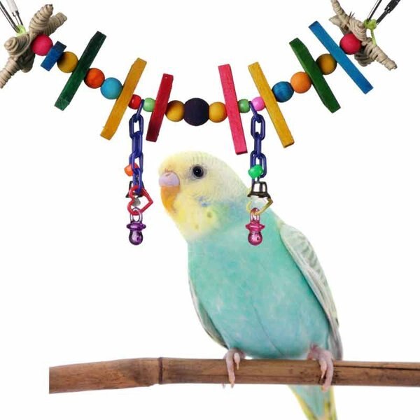 Super Bird Creations Rainbow Bridge Bird Toy， Small