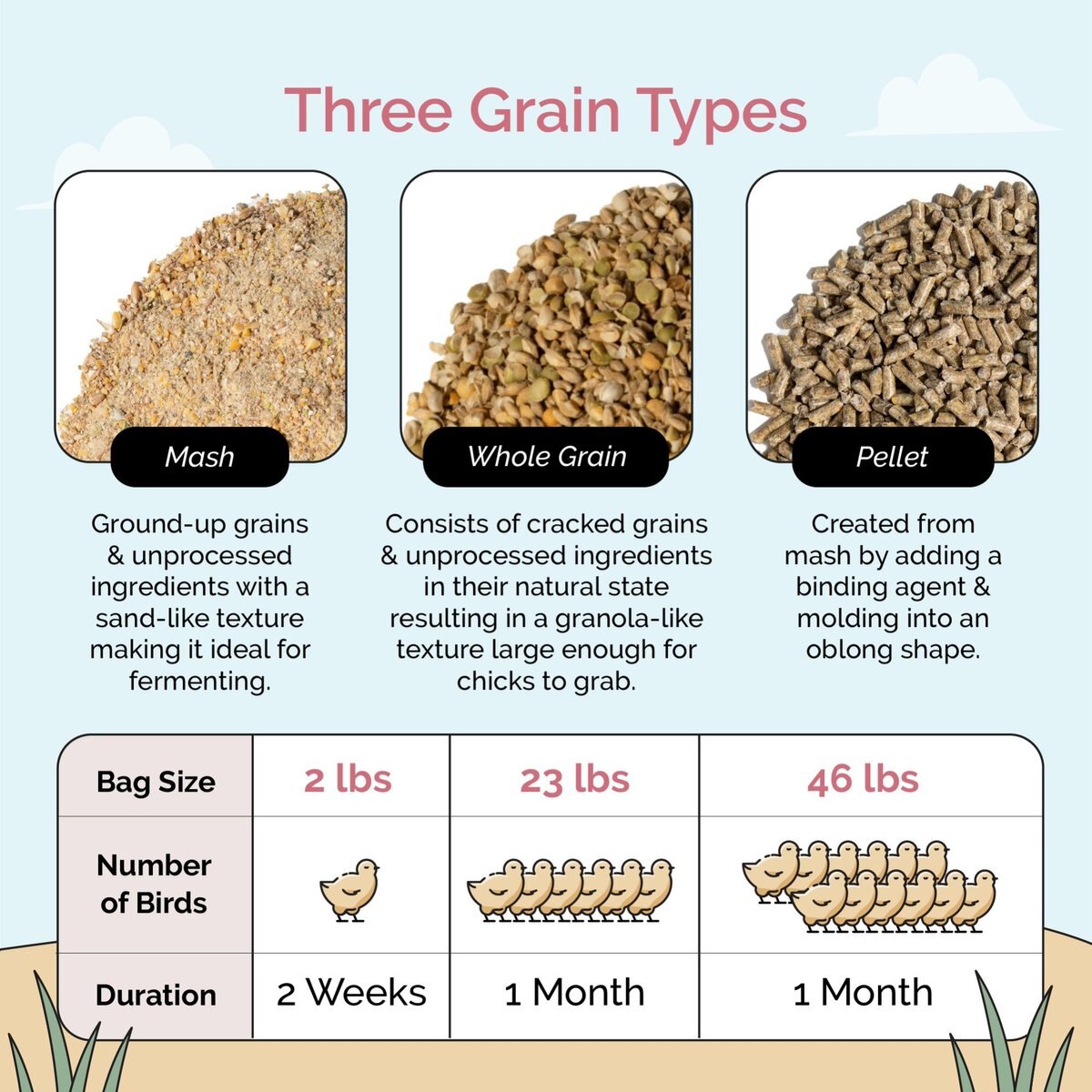 Mile Four 21% Organic Mash Starter Chicken and Duck Feed， 23-lb bag