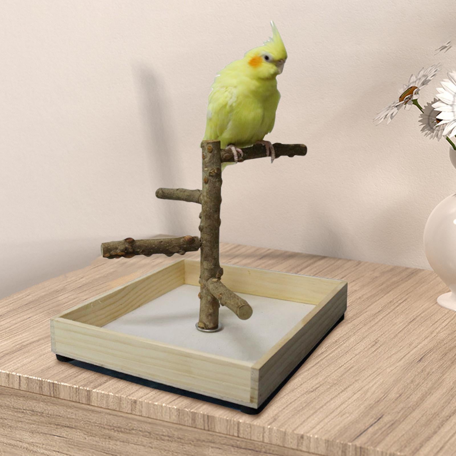 Parakeet Perch， Bird Natural Wood Stand， Parrot Wooden Branches for Standing， Toys for Small Medium Parrots Budgie - 36x36x25cm