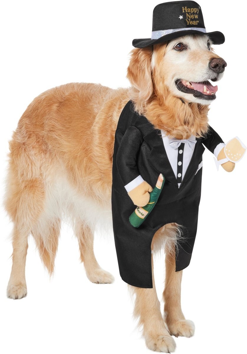 Frisco Front Walking New Years Tuxedo Dog and Cat Costume