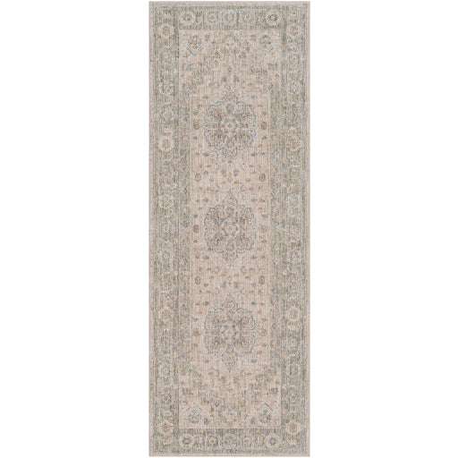 Avant Garde Traditional Light Gray Rug