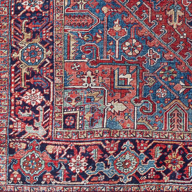 Looneind Traditional Area Rug