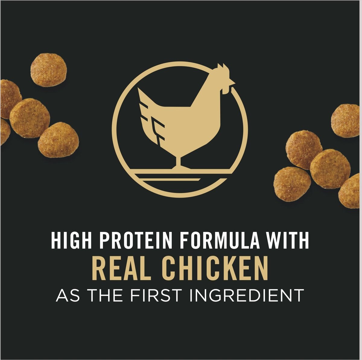 Purina Pro Plan High Protein Chicken and Rice Formula Dry Puppy Food