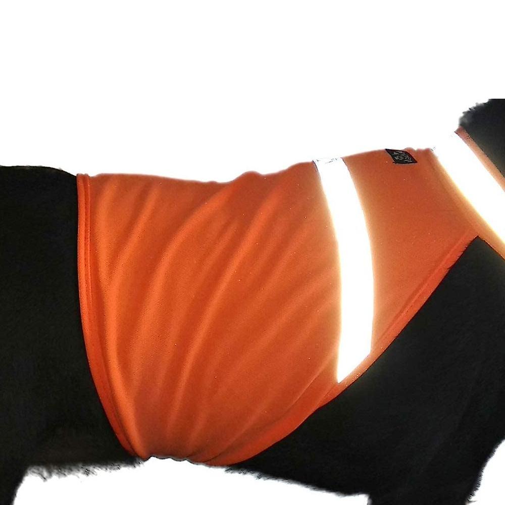 Dog Jacket High Visibility Safety Reflective Dog Vest For Small Medium Large Dogs-orange M