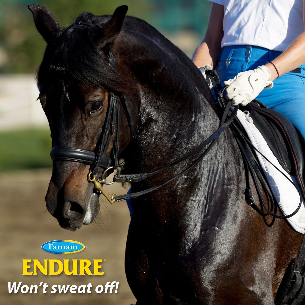 Farnam Endure Sweat Resistant Horse Fly Spray