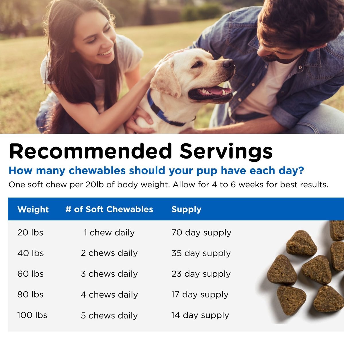 Nutri-Vet Adult-Vite Soft Chews Multivitamin for Dogs