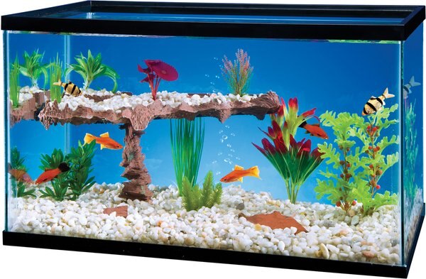 Penn-Plax Tank-Terr Corner Aquarium Ornament