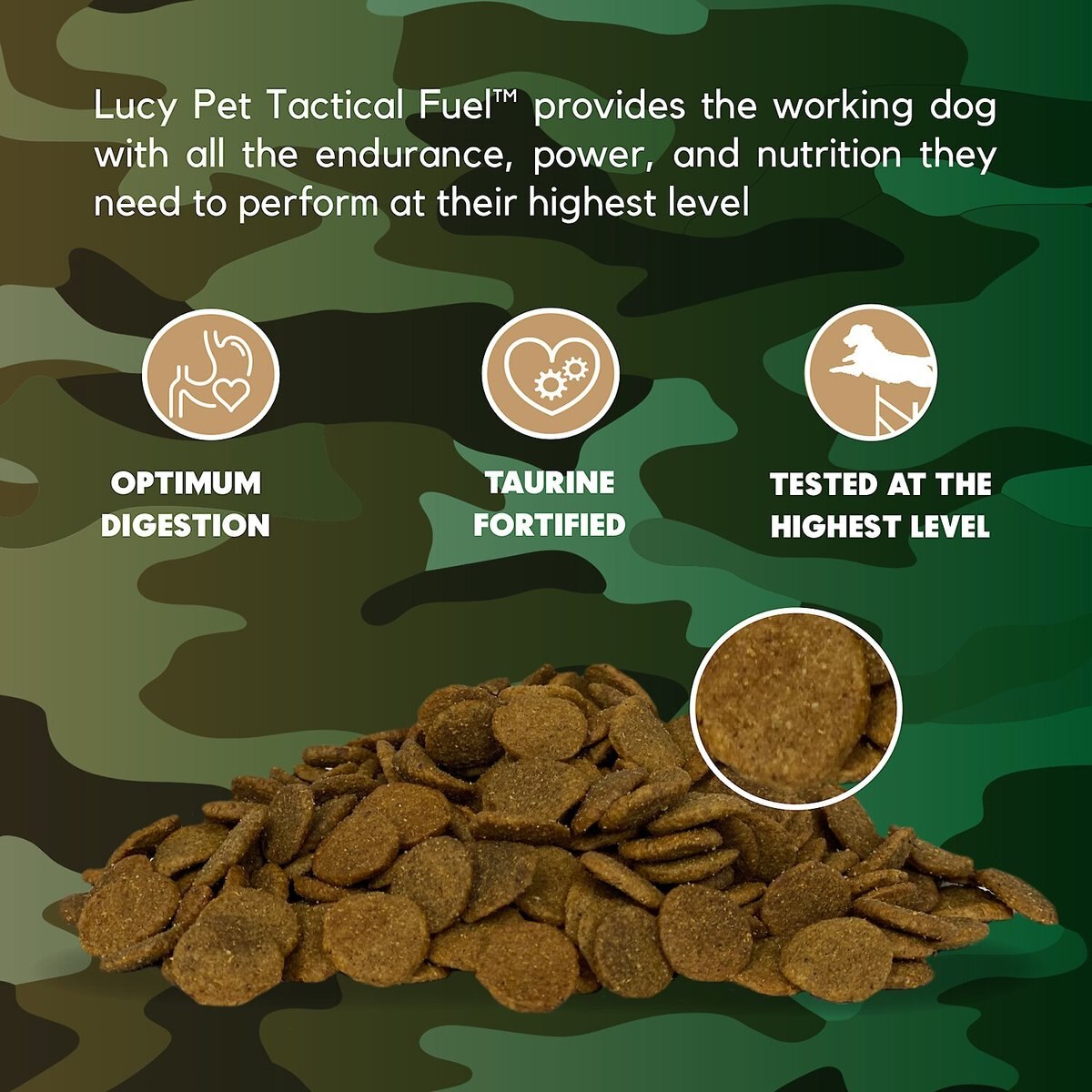 Lucy Pet Products Tactical Fuel Chicken， Brown Rice and Oatmeal Dry Dog Food